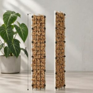 2 Tutores de musgo Soporte Guia Poste Chico 20cms