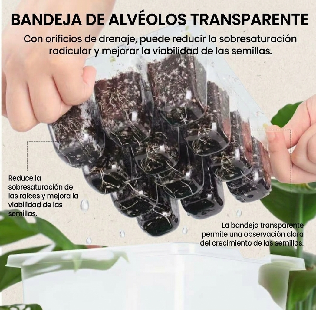 Set de 5 bandejas transparentes, semilleros , ventilación de humedad ajustable, cúpula, propagación - Imagen 6